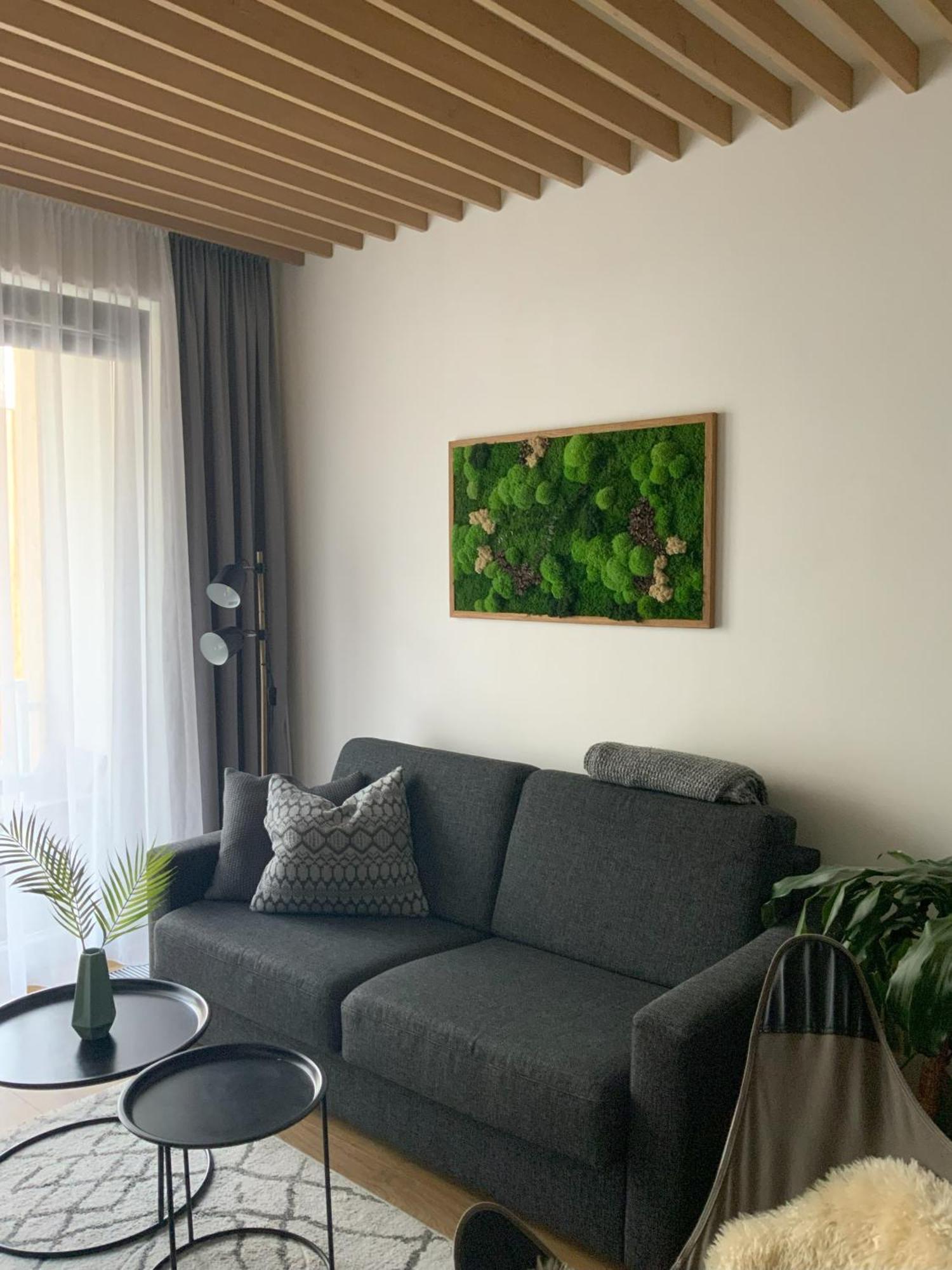 Sestka - U Kabinove Lanovky Janske Lazne
